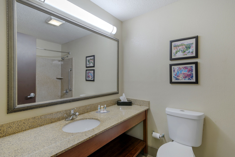 Bathroom 4, Comfort Suites Columbus State University Area, Muscogee
