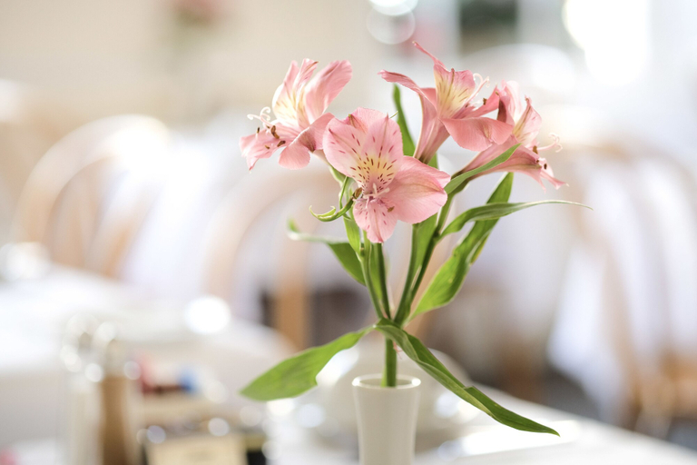 Food & Drinks 4, Edgar Townhouse, Bath and North East Somerset