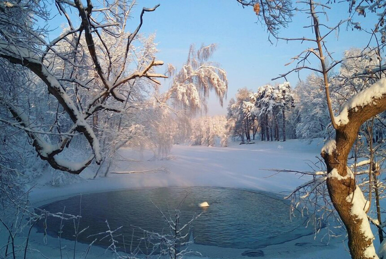Sport & Beauty 2, Park-Hotel Vozdvizhenskoe, Serpukhovskiy rayon