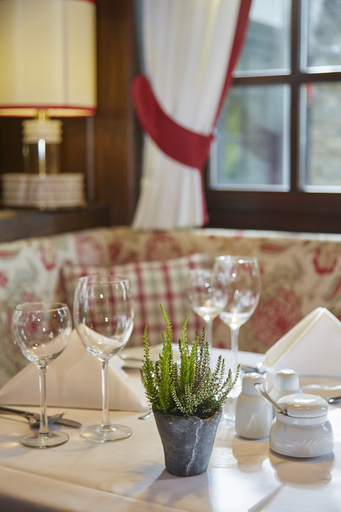 Food & Drinks 4, Best Western Hotel Polisina, Würzburg