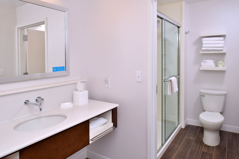 Bathroom 3, Hampton Inn & Suites Ann Arbor West, Washtenaw