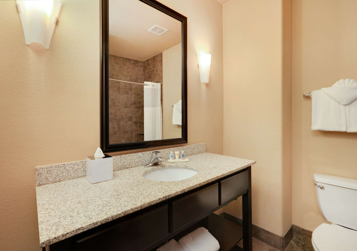Bathroom 4, Comfort Suites Arlington - Entertainment District, Arlington