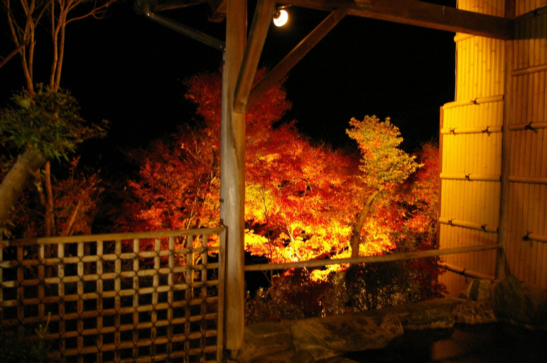 Miyataya Ryokan, Nakanojō