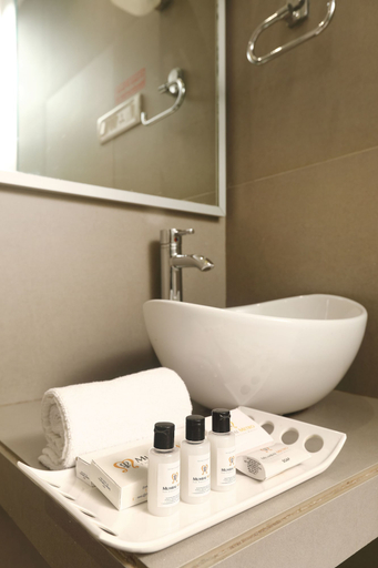 Bathroom 5, Mumbai Metro - The Executive Hotel, Mumbai Suburban