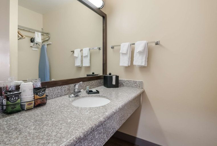 Bathroom 4, SureStay Hotel By Best Western Fernley, Lyon