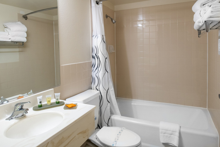Bathroom 4, Glendale Hotel, Los Angeles