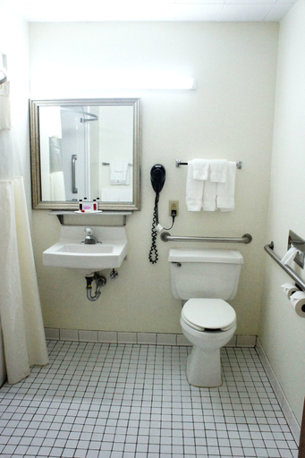 Bathroom 4, Baymont by Wyndham Green Bay, Brown