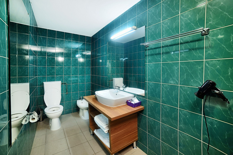 Bathroom 4, President Hotel, Timisoara
