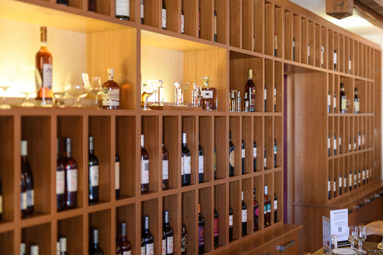 Food & Drinks 5, LOGIS HOTEL RESTAURANT SOLENCA, Gers