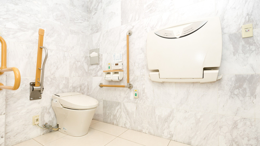 Bathroom 5, Toyoko Inn Tsuruga Ekimae, Tsuruga