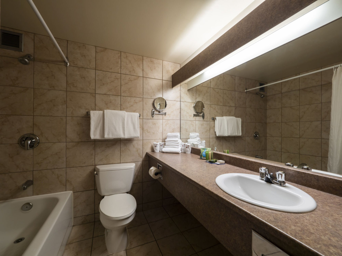 Bathroom 3, Hôtel Le Président, La Région-Sherbrookoise