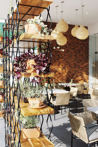 Food & Drinks 5, Áurea Hotel & Suites, Zapopan