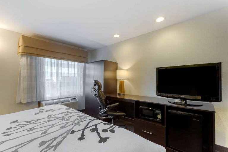 Bedroom 4, Sleep Inn Ontario, Malheur