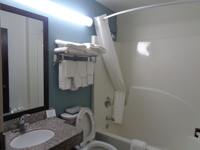 Bathroom 4, Sleep Inn & Suites Tallahassee-Capitol, Leon