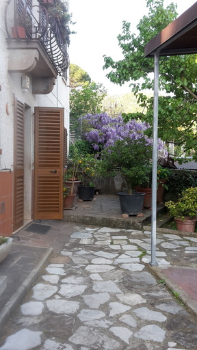 Exterior & Views 2, Gessy's, Lucca