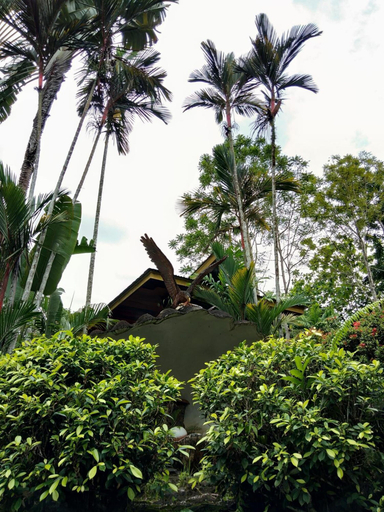 Others 4, Sepilok Jungle Resort, Sandakan