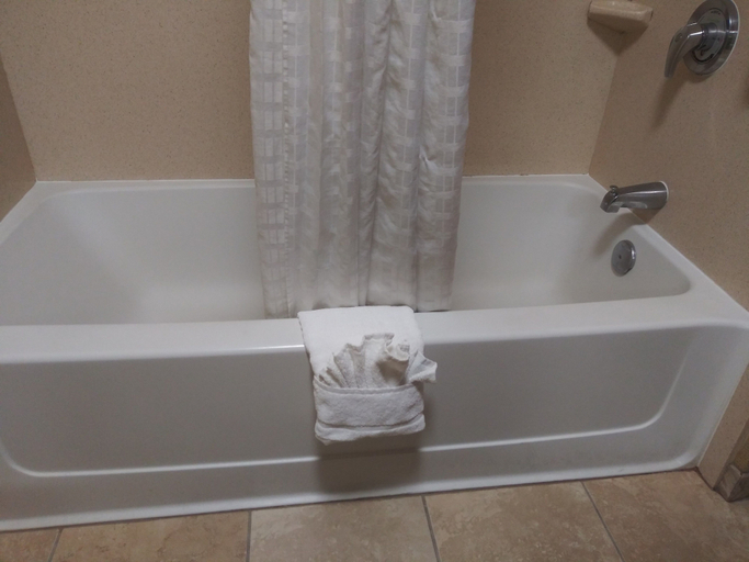 Bathroom 3, Comfort Suites Palm Bay - Melbourne, Brevard