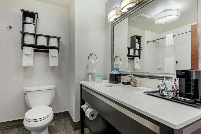 Bathroom 4, Hampton Inn & Suites Columbus, Lowndes
