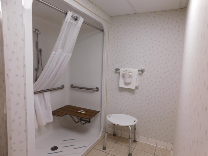 Bathroom 3, Econo Lodge Branson Theater District, Taney