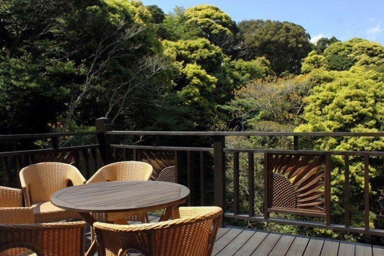 Others 3, Guest House KODOKODO, Minamiizu