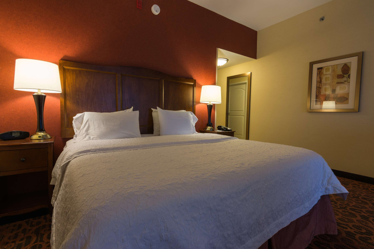 Bedroom 3, Hampton Inn Bangor, Penobscot