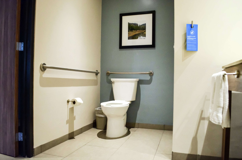 Bathroom 4, Hampton Inn by Hilton Durango, Durango