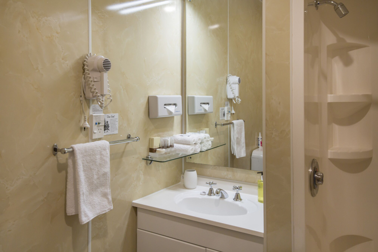 Bathroom 5, Amross Court Motor Lodge, Christchurch
