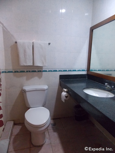 Bathroom 4, Caribbean Waterpark and Resotel, Bacolod City
