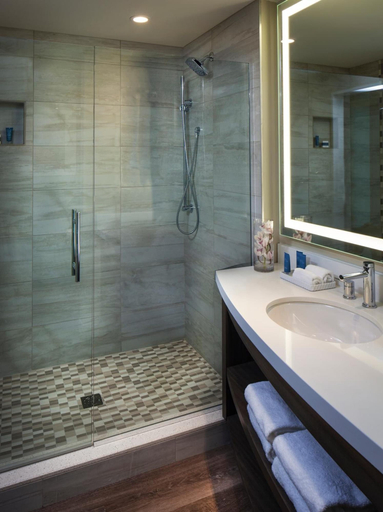 Bathroom 5, Opal Sands Resort, Pinellas