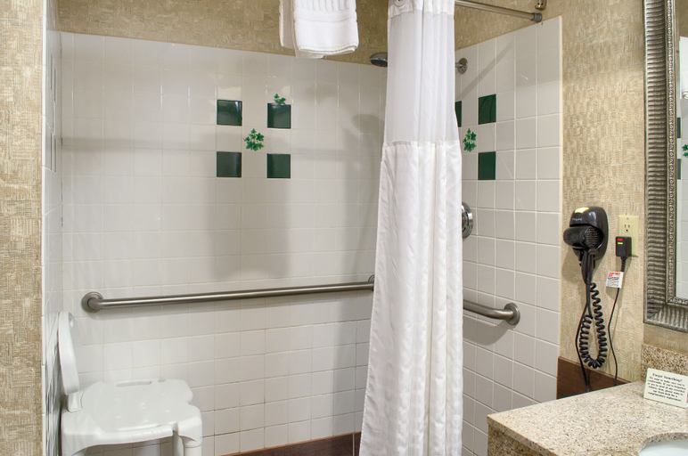 Bathroom 4, Hometown Inn, Clarke
