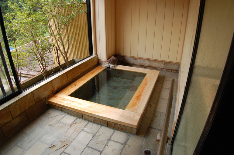 Bathroom 5, Miyataya Ryokan, Nakanojō