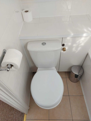 Bathroom 3, The Black Horse, Kent
