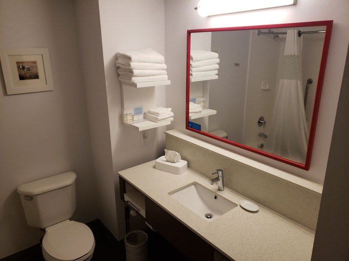 Bathroom 4, Hampton Inn Tulsa Broken Arrow, Tulsa
