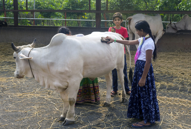 Others 5, Govardhan Eco Village, Palghar