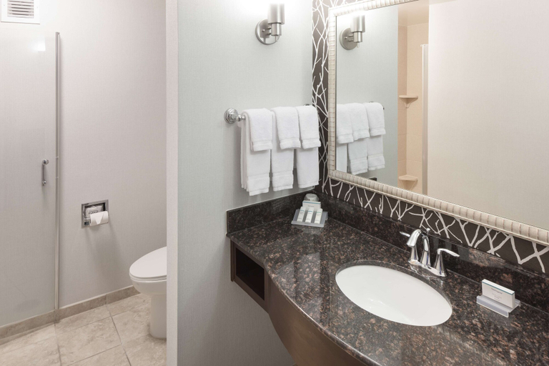 Bathroom 4, Hilton Garden Inn Cincinnati/Mason, Warren