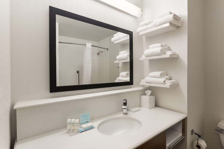Bathroom 4, Hampton Inn by Hilton Fort Smith, Sebastian