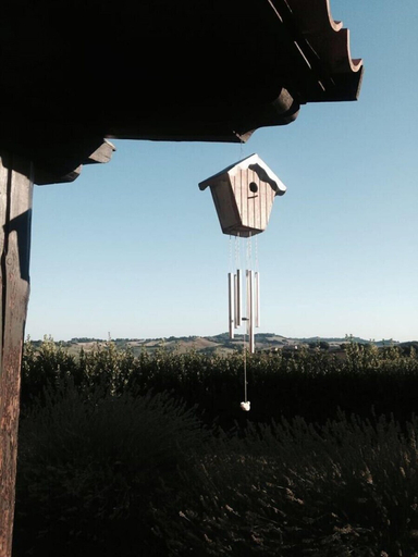 Others 5, Country House Il Sassone, Ancona