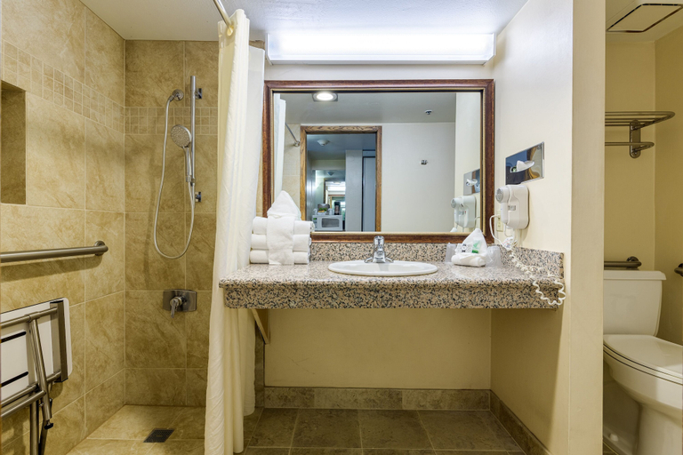 Bathroom 4, Grand Vista Hotel, Mesa