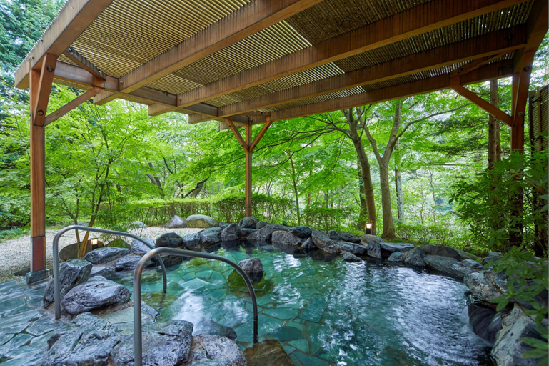 Sport & Beauty 5, Hotel Harvest Kinugawa, Nikkō