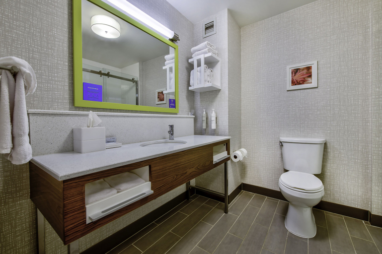 Bathroom 4, Hampton Inn Cortland, Cortland