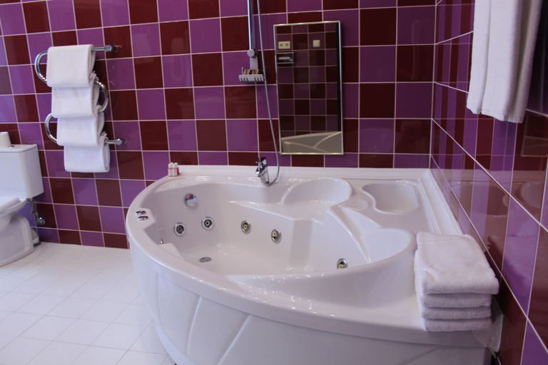 Bathroom 5, Legendary Hotel Sovietsky, Northern