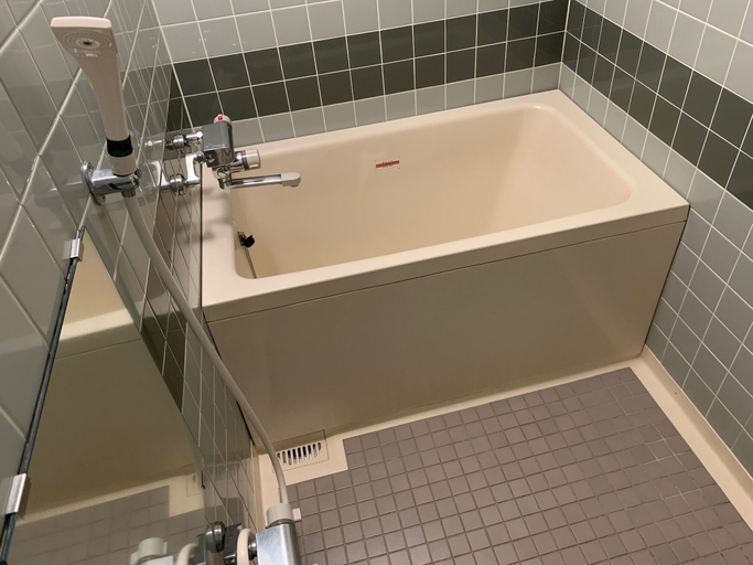 Bathroom 4, Bandai Silver Hotel, Niigata