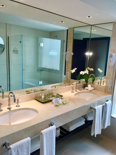 Bathroom 4, Hotel Metropolitano Supara, Distrito Federal