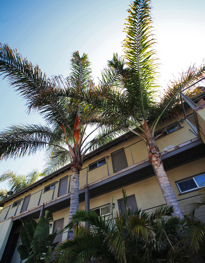 Exterior & Views 2, The M Malibu, Los Angeles