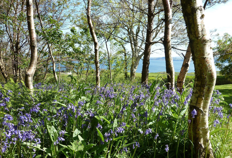 Others 5, Steading Holidays - Ceol na Mara, Highland