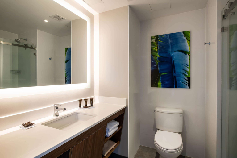 Bathroom 4, Wingate by Wyndham Long Island City, New York