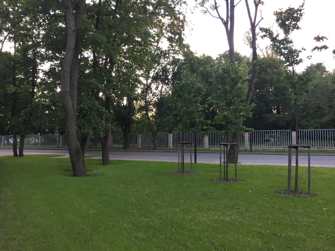 Others 5, Smolny Park Suite, Sankt-Peterburg gorsovet