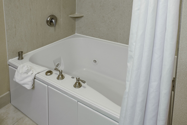 Bathroom 5, Hampton Inn & Suites Youngstown-Canfield, Mahoning