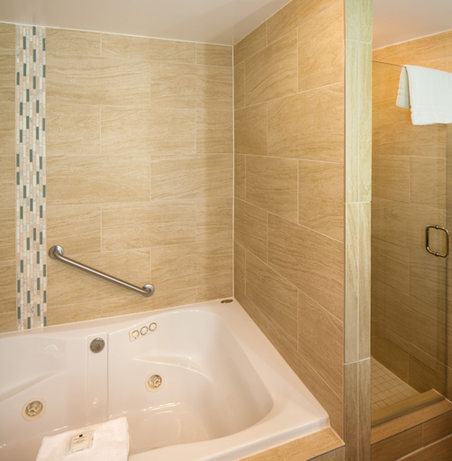 Bathroom 5, DoubleTree by Hilton Hotel Jacksonville Riverfront, Duval