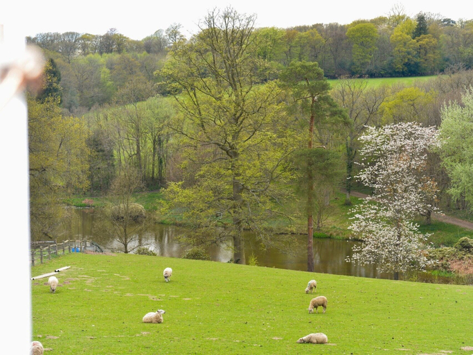 Others 4, Twyford Farm B&B, East Sussex